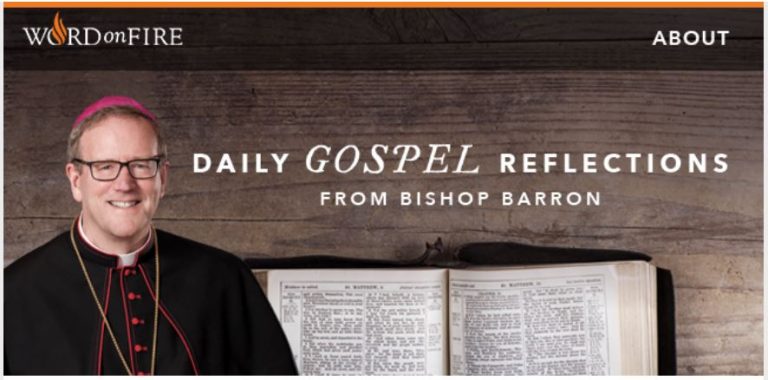 bishop barron catholicism